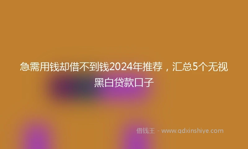 急需用钱却借不到钱2024年推荐，汇总5个无视黑白贷款口子
