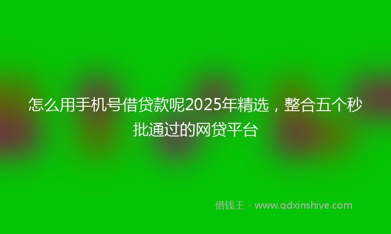 怎么用手机号借贷款呢2025年精选，整合五个秒批通过的网贷平台
