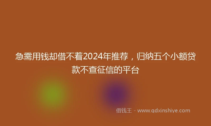 急需用钱却借不着2024年推荐，归纳五个小额贷款不查征信的平台
