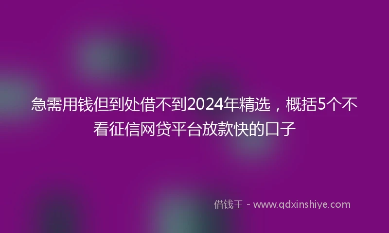 急需用钱但到处借不到2024年精选，概括5个不看征信网贷平台放款快的口子