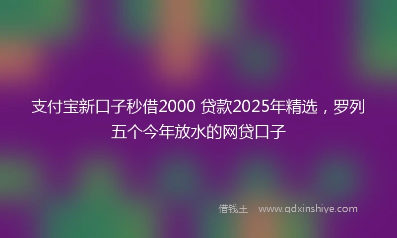 支付宝新口子秒借2000 贷款2025年精选，罗列五个今年放水的网贷口子