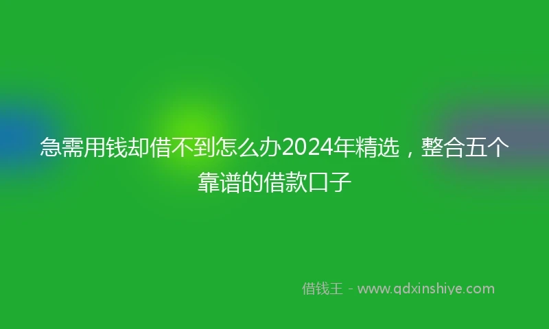 急需用钱却借不到怎么办2024年精选，整合五个靠谱的借款口子