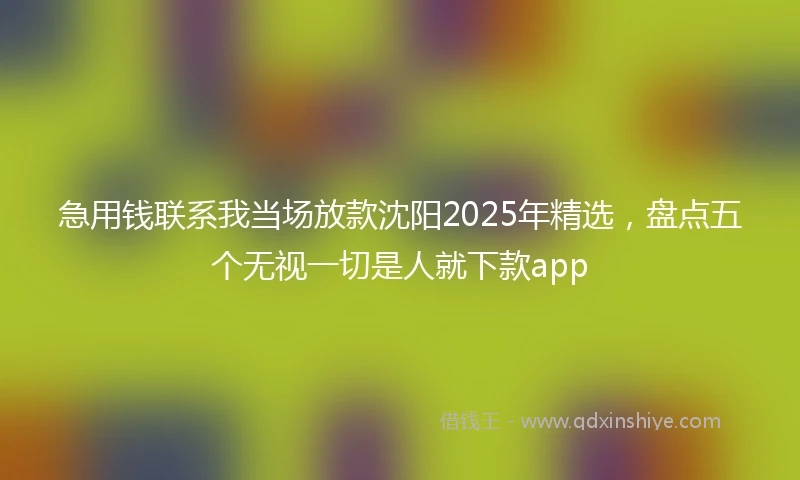 急用钱联系我当场放款沈阳2025年精选，盘点五个无视一切是人就下款app