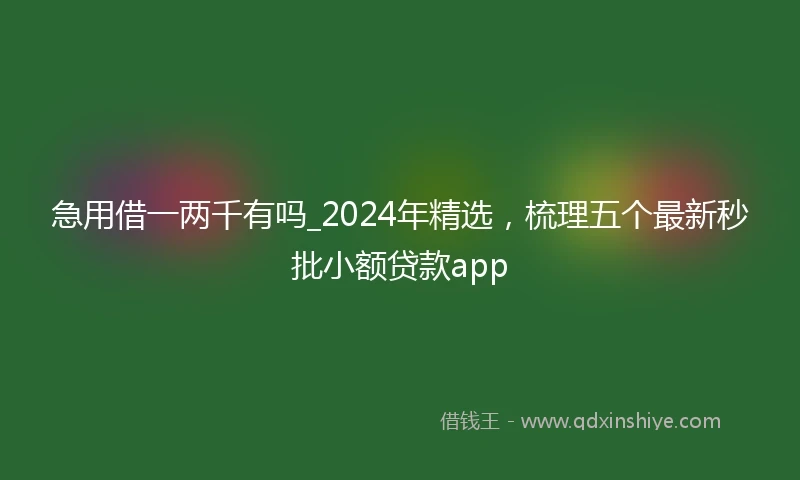 急用借一两千有吗_2024年精选，梳理五个最新秒批小额贷款app
