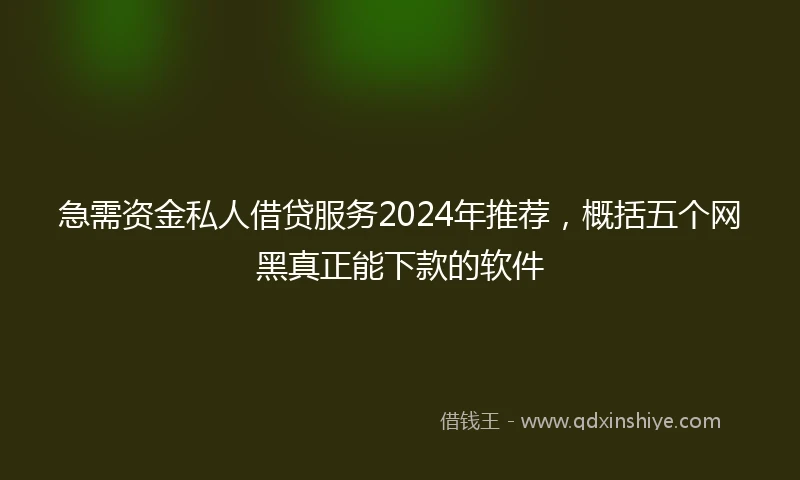 急需资金私人借贷服务2024年推荐，概括五个网黑真正能下款的软件