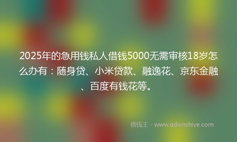 2025年的急用钱私人借钱5000无需审核18岁怎么办有：随身贷、小米贷款、融逸花、京东金融、百度有钱花等。