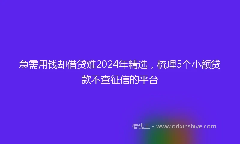 急需用钱却借贷难2024年精选，梳理5个小额贷款不查征信的平台