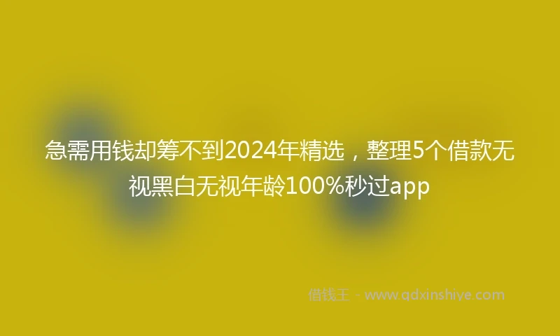 急需用钱却筹不到2024年精选，整理5个借款无视黑白无视年龄100%秒过app