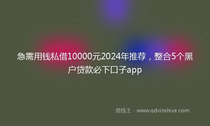 急需用钱私借10000元2024年推荐，整合5个黑户贷款必下口子app