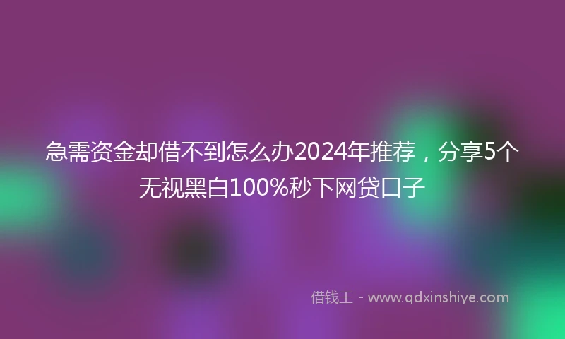 急需资金却借不到怎么办2024年推荐，分享5个无视黑白100%秒下网贷口子