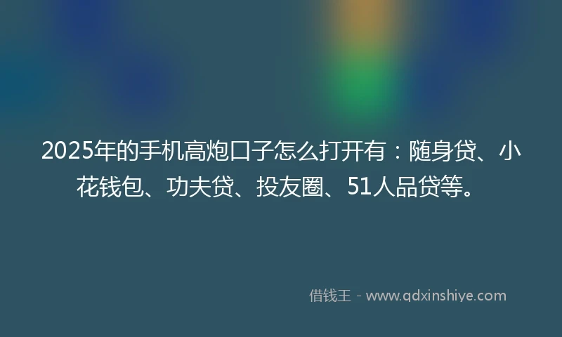 2025年的手机高炮口子怎么打开有：随身贷、小花钱包、功夫贷、投友圈、51人品贷等。