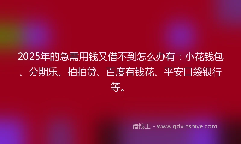 2025年的急需用钱又借不到怎么办有：小花钱包、分期乐、拍拍贷、百度有钱花、平安口袋银行等。
