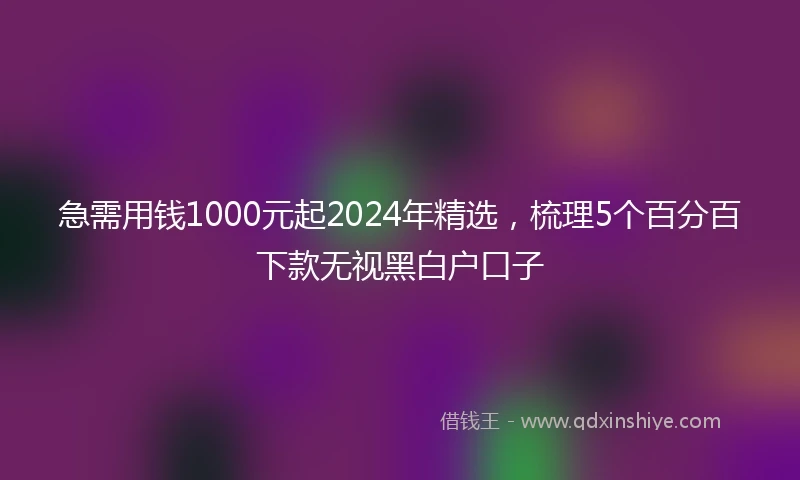 急需用钱1000元起2024年精选，梳理5个百分百下款无视黑白户口子
