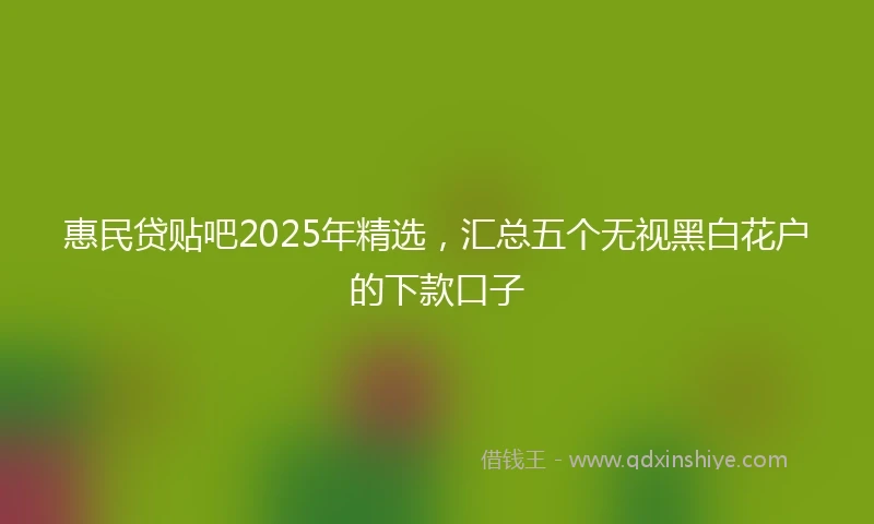 惠民贷贴吧2025年精选，汇总五个无视黑白花户的下款口子