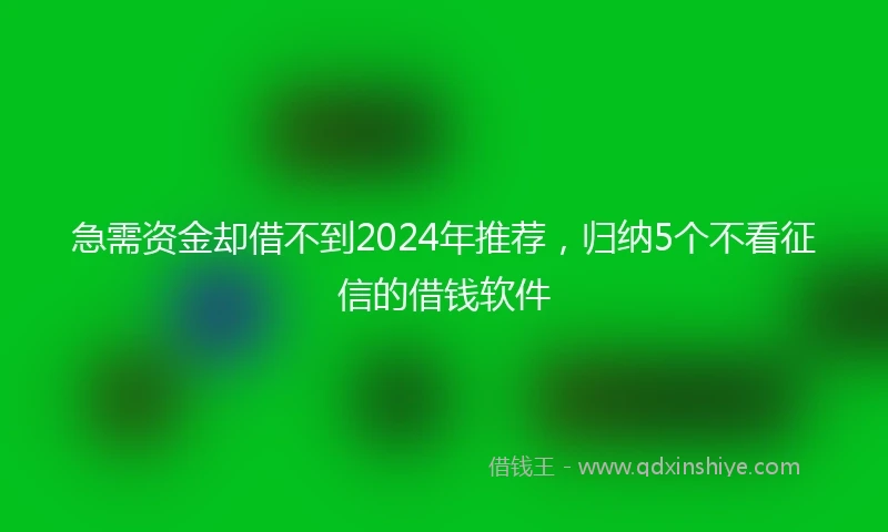 急需资金却借不到2024年推荐，归纳5个不看征信的借钱软件