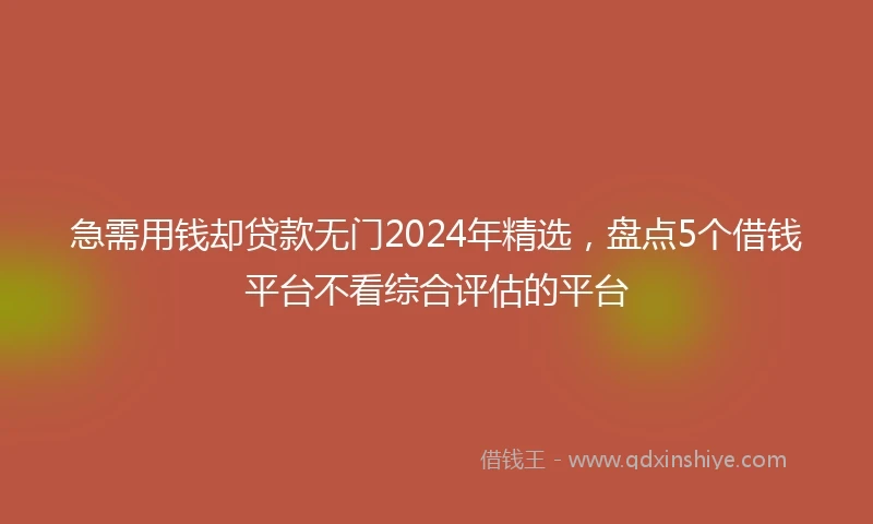 急需用钱却贷款无门2024年精选，盘点5个借钱平台不看综合评估的平台