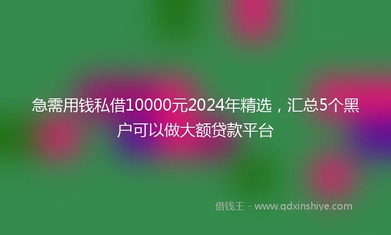 急需用钱私借10000元2024年精选，汇总5个黑户可以做大额贷款平台