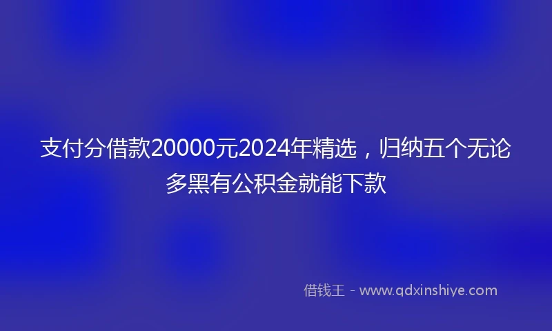 支付分借款20000元2024年精选，归纳五个无论多黑有公积金就能下款