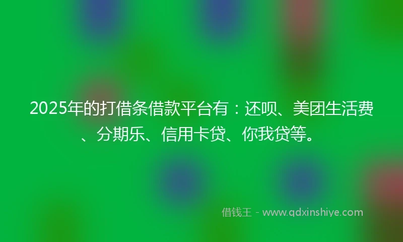 2025年的打借条借款平台有：还呗、美团生活费、分期乐、信用卡贷、你我贷等。