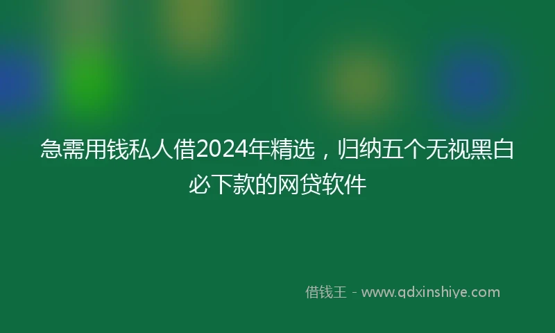 急需用钱私人借2024年精选，归纳五个无视黑白必下款的网贷软件