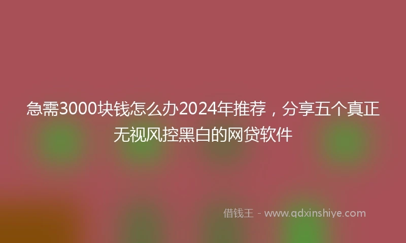 急需3000块钱怎么办2024年推荐，分享五个真正无视风控黑白的网贷软件
