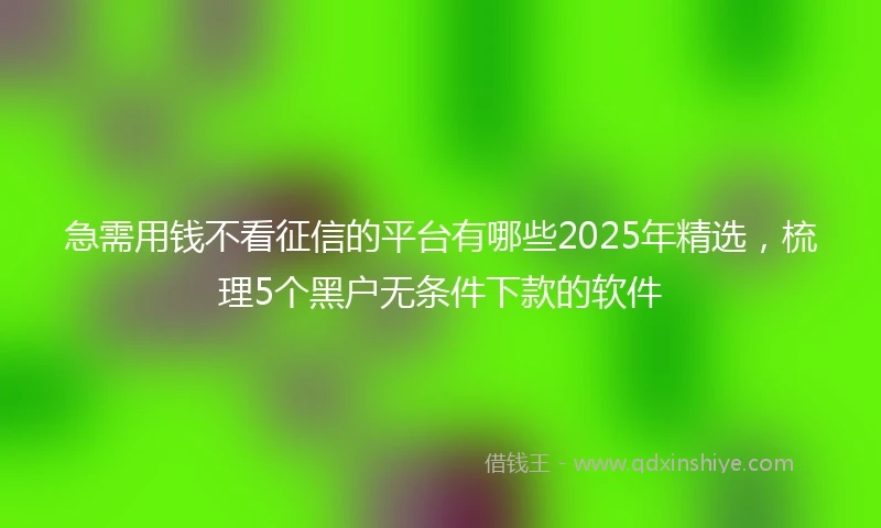 急需用钱不看征信的平台有哪些2025年精选，梳理5个黑户无条件下款的软件