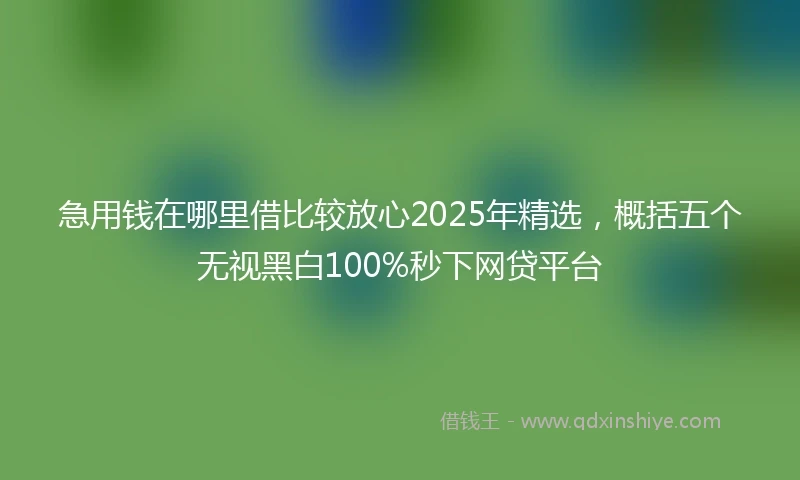急用钱在哪里借比较放心2025年精选，概括五个无视黑白100%秒下网贷平台