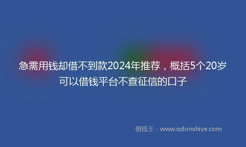 急需用钱却借不到款2024年推荐，概括5个20岁可以借钱平台不查征信的口子
