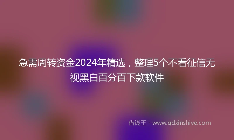 急需周转资金2024年精选，整理5个不看征信无视黑白百分百下款软件