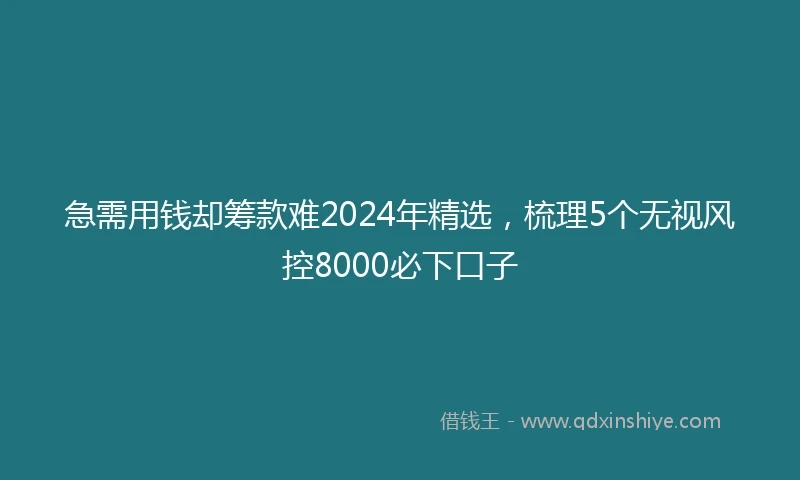 急需用钱却筹款难2024年精选，梳理5个无视风控8000必下口子