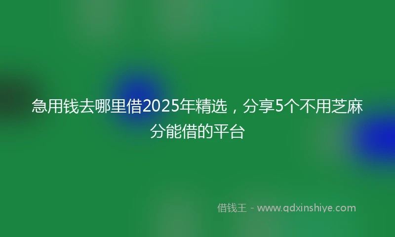 急用钱去哪里借2025年精选，分享5个不用芝麻分能借的平台
