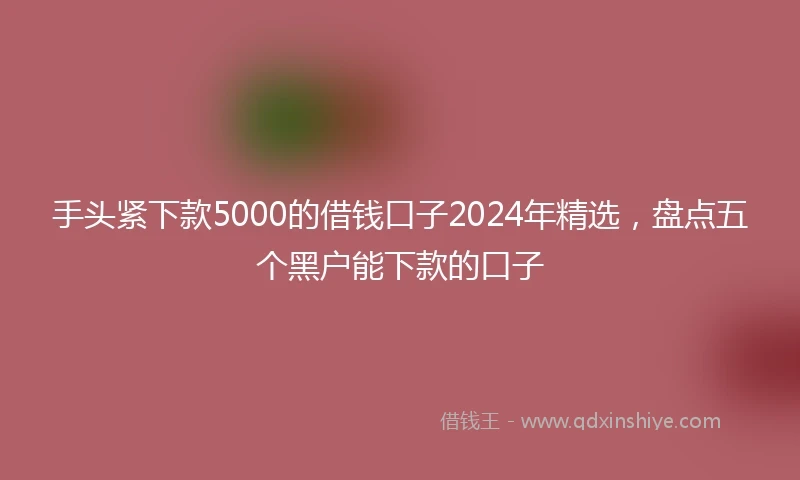 手头紧下款5000的借钱口子2024年精选，盘点五个黑户能下款的口子