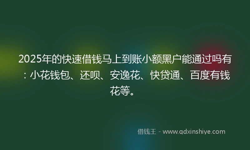 2025年的快速借钱马上到账小额黑户能通过吗有：小花钱包、还呗、安逸花、快贷通、百度有钱花等。