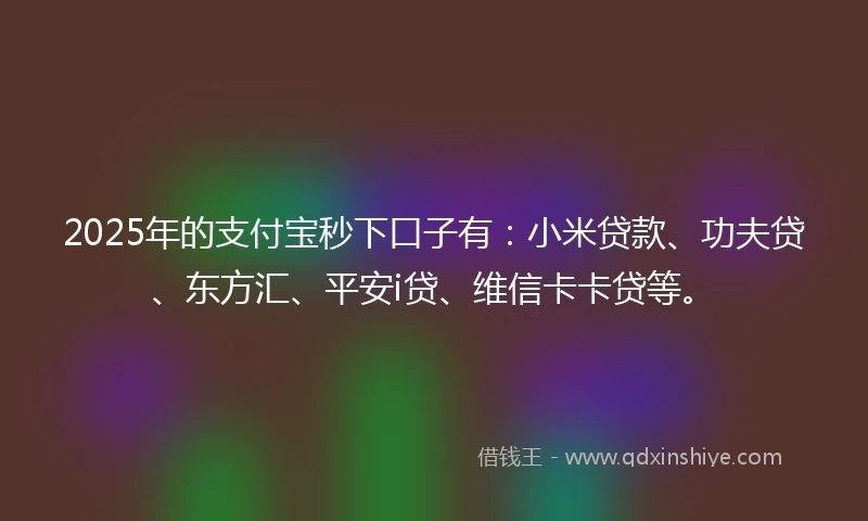 2025年的支付宝秒下口子有：小米贷款、功夫贷、东方汇、平安i贷、维信卡卡贷等。