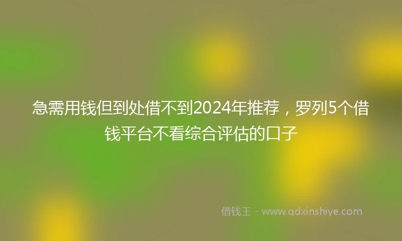急需用钱但到处借不到2024年推荐，罗列5个借钱平台不看综合评估的口子