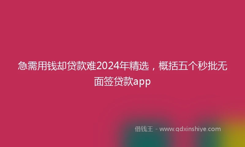 急需用钱却贷款难2024年精选，概括五个秒批无面签贷款app