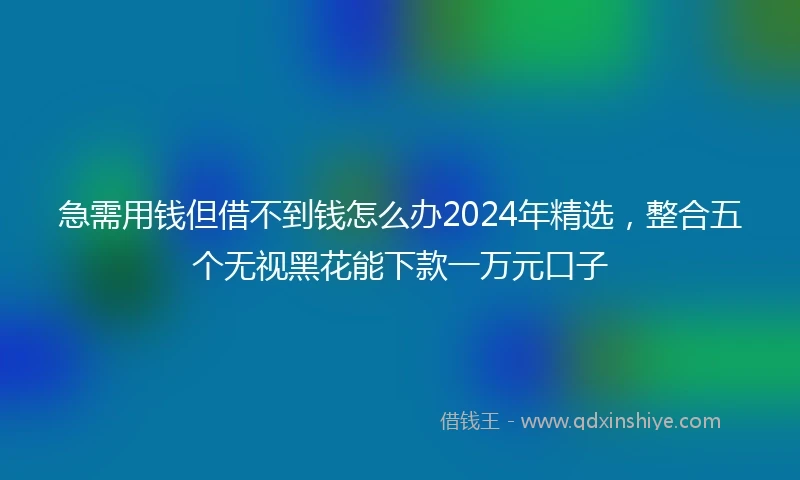 急需用钱但借不到钱怎么办2024年精选，整合五个无视黑花能下款一万元口子