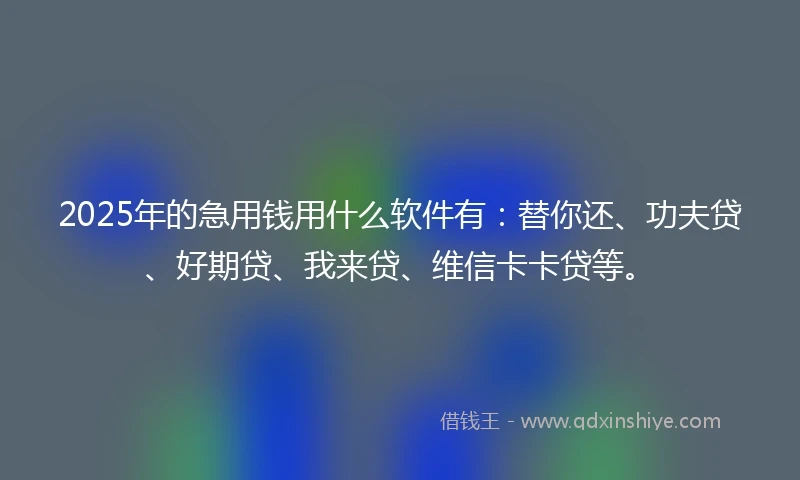 2025年的急用钱用什么软件有：替你还、功夫贷、好期贷、我来贷、维信卡卡贷等。
