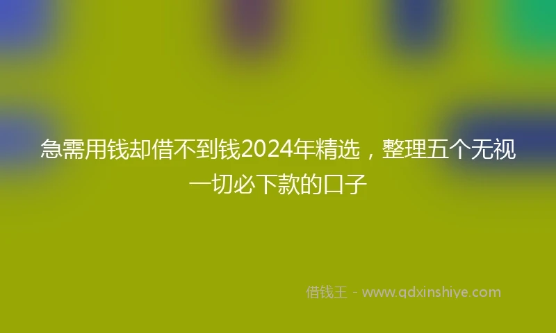 急需用钱却借不到钱2024年精选，整理五个无视一切必下款的口子