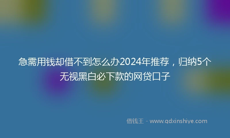 急需用钱却借不到怎么办2024年推荐，归纳5个无视黑白必下款的网贷口子