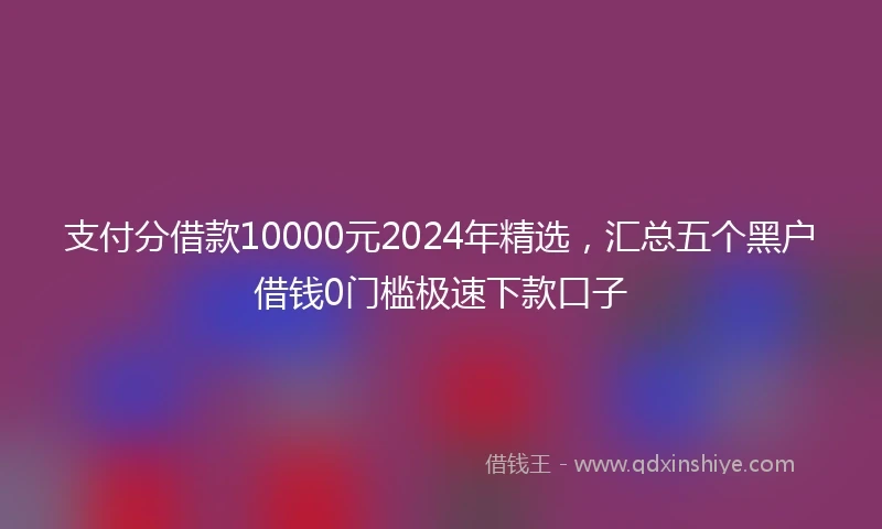 支付分借款10000元2024年精选，汇总五个黑户借钱0门槛极速下款口子