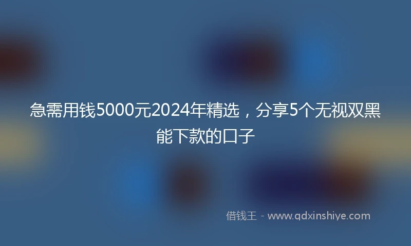 急需用钱5000元2024年精选，分享5个无视双黑能下款的口子