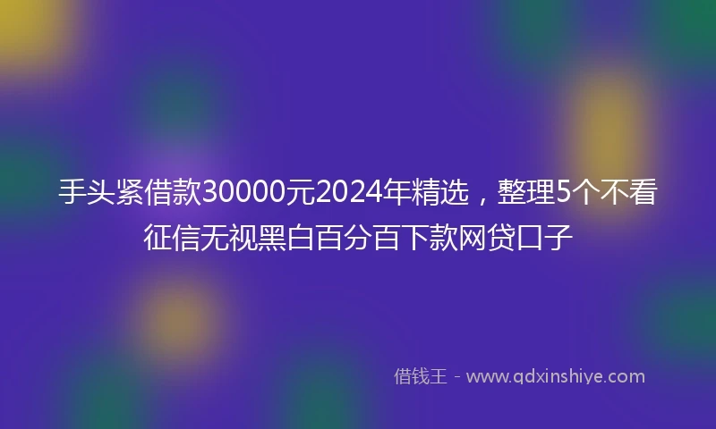 手头紧借款30000元2024年精选，整理5个不看征信无视黑白百分百下款网贷口子