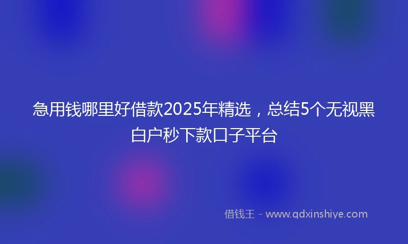 急用钱哪里好借款2025年精选，总结5个无视黑白户秒下款口子平台