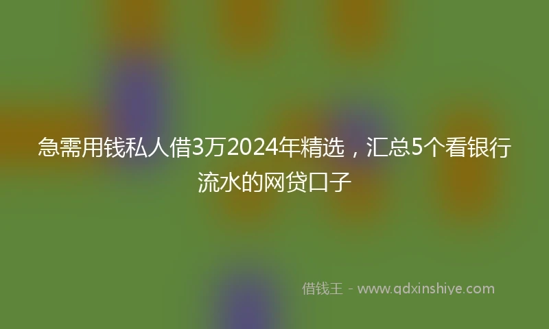 急需用钱私人借3万2024年精选，汇总5个看银行流水的网贷口子