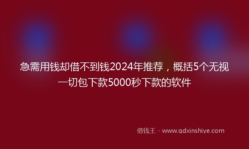 急需用钱却借不到钱2024年推荐，概括5个无视一切包下款5000秒下款的软件