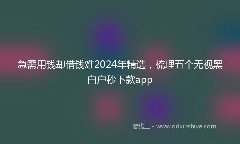 急需用钱却借钱难2024年精选，梳理五个无视黑白户秒下款app
