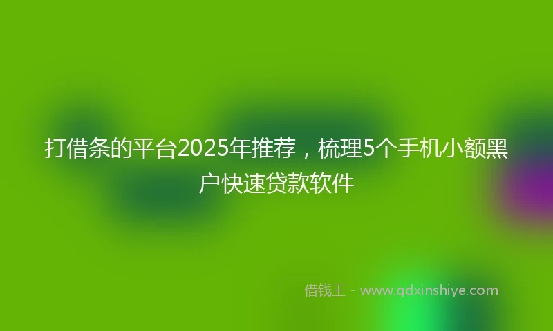 打借条的平台2025年推荐，梳理5个手机小额黑户快速贷款软件