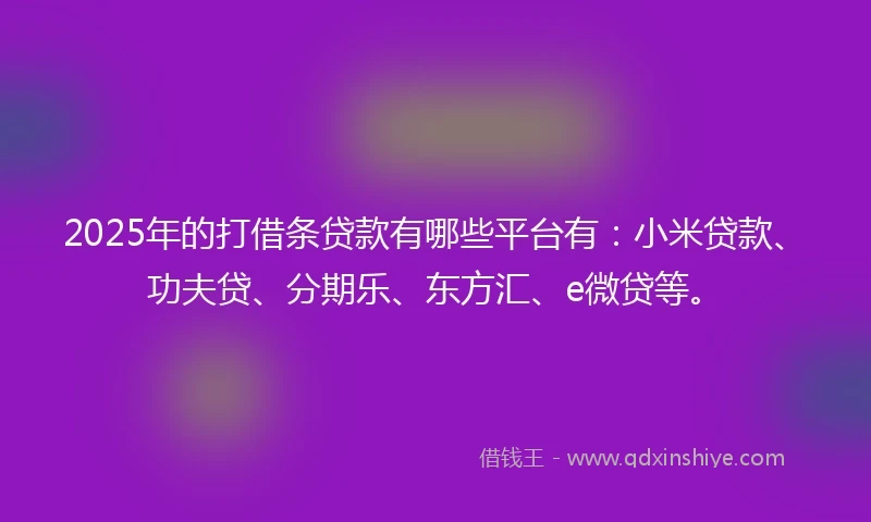 2025年的打借条贷款有哪些平台有：小米贷款、功夫贷、分期乐、东方汇、e微贷等。