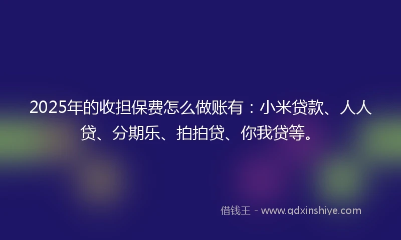 2025年的收担保费怎么做账有：小米贷款、人人贷、分期乐、拍拍贷、你我贷等。